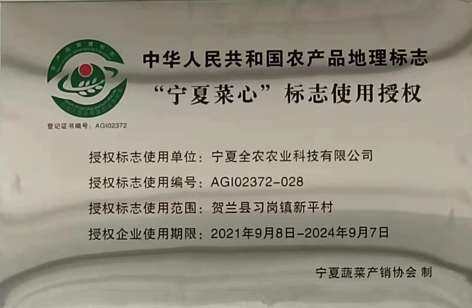 “寧夏菜心”地理標志
