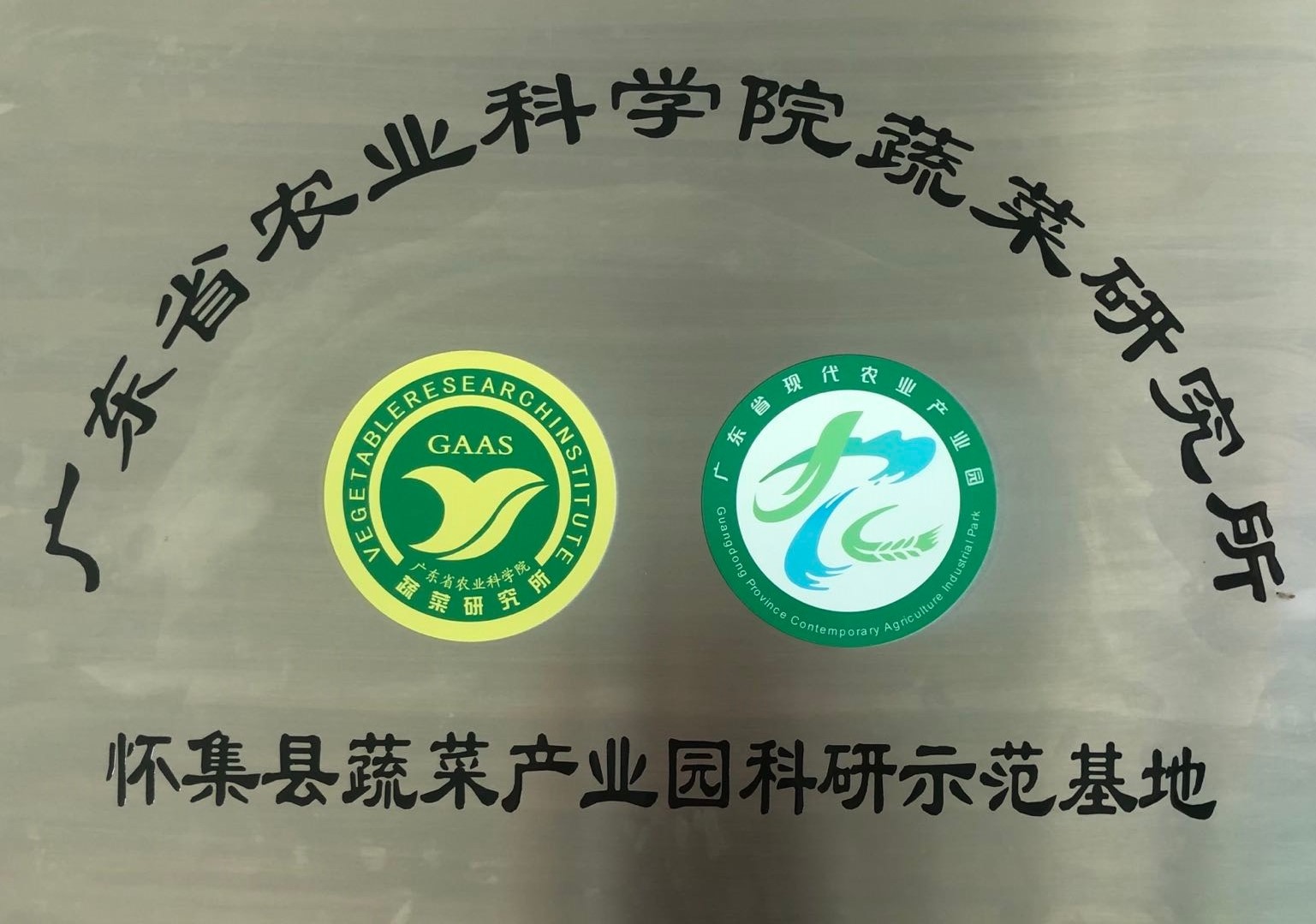 懷集縣蔬菜產業園科研示范基地